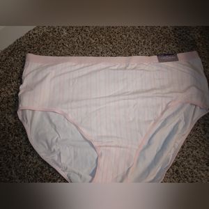 NWT Catherine's Pale Pink Steiped Panties, Sz. 4x